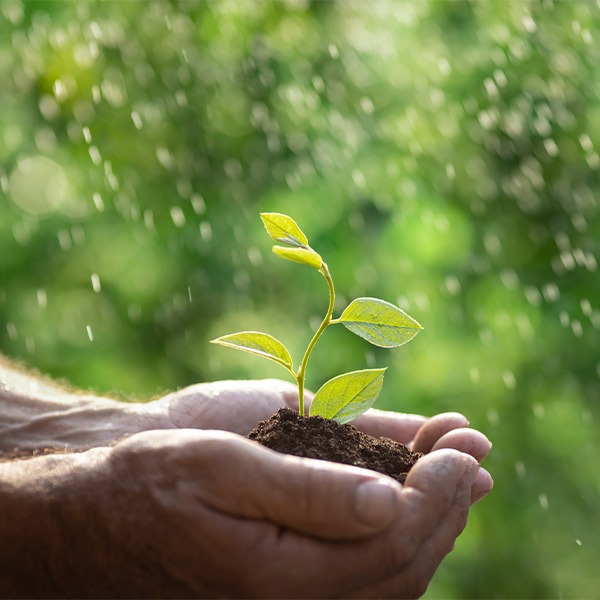 sustainable